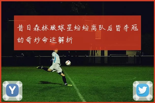 昔日森林狼球星纷纷离队后皆夺冠的奇妙命运解析