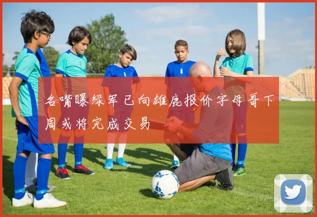 名嘴曝绿军已向雄鹿报价字母哥下周或将完成交易